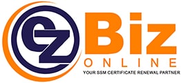 ez biz logo -Techmave Solutions